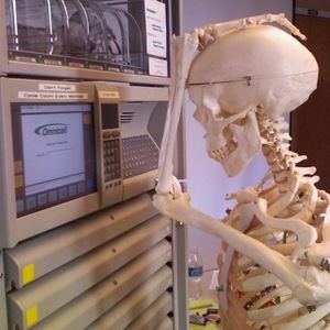 Meet your Posher, Tracy